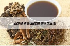 <b>Ѫ��ֲͨ��,Ѫ��ֲͨ����ô��</b>