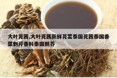 <b>��Ҷܾ��,��Ҷܾ������ܾݴ̩��ܾ��̩����˴�������̩�����</b>