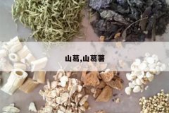 <b>ɽ��,ɽ����</b>