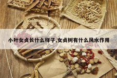 <b>СҶŮ�곤ʲô����,Ů������ʲô��ˮ����</b>