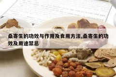 <b>ɣ�����Ĺ�Ч�����ü�ʳ�÷���,ɣ�����Ĺ�Ч����;����</b>