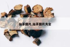 <b>��éͼƬ,��éͼƬ��ȫ</b>