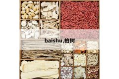 <b>baishu,����</b>