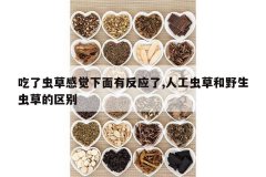 <b>���˳�ݸо������з�Ӧ��,�˹���ݺ�Ұ����ݵ�����</b>