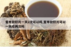 <b>�������Ƭһ��2�ο�����,�������Ƭ����һ���������</b>