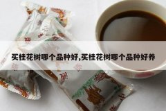 <b>������ĸ�Ʒ�ֺ�,������ĸ�Ʒ�ֺ���</b>