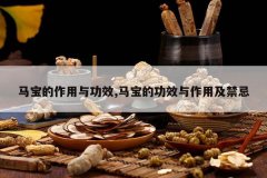 <b>�����������빦Ч,�����Ĺ�Ч�����ü�����</b>