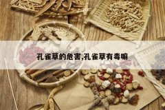 <b>��ȸ�ݵ�Σ��,��ȸ���ж���</b>