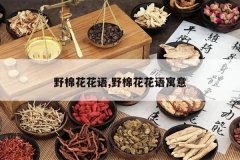 <b>Ұ�޻�����,Ұ�޻�����Ԣ��</b>