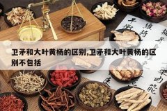 <b>��ì�ʹ�Ҷ���������,��ì�ʹ�Ҷ��������𲻰���</b>