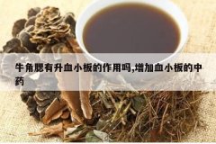 <b>ţ��������ѪС���������,����ѪС�����ҩ</b>