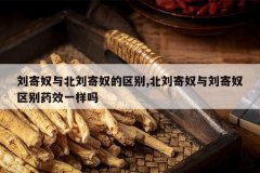 <b>����ū�뱱����ū������,������ū������ū����ҩЧһ����</b>