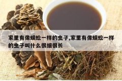 <b>�����������һ���ĳ���,�����������һ���ĳ��ӽ�ʲô��ϸ�ܳ�</b>