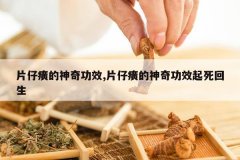 <b>Ƭ�������湦Ч,Ƭ�������湦Ч��������</b>