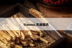 <b>tianma,����ͼƬ</b>