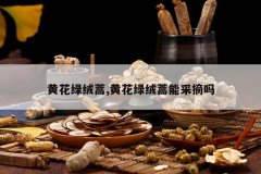 <b>�ƻ�������,�ƻ��������ܲ�ժ��</b>