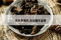 <b>���ɲ�ͼƬ,����ͼƬ����</b>