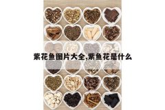 <b>�ϻ���ͼƬ��ȫ,���㻨��ʲô</b>