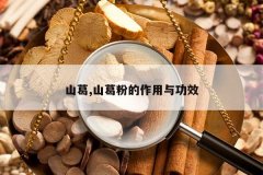 <b>ɽ��,ɽ��۵������빦Ч</b>