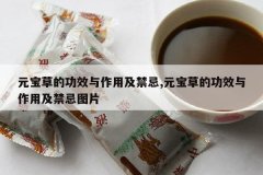 <b>Ԫ���ݵĹ�Ч�����ü�����,Ԫ���ݵĹ�Ч�����ü�����ͼƬ</b>