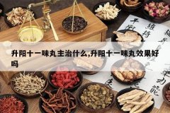 <b>����ʮһζ������ʲô,����ʮһζ��Ч������</b>