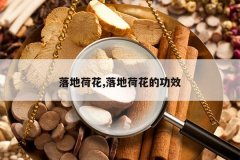 <b>��غɻ�,��غɻ��Ĺ�Ч</b>