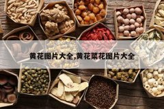 <b>�ƻ�ͼƬ��ȫ,�ƻ��˻�ͼƬ��ȫ</b>