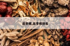 <b>�����,���������</b>