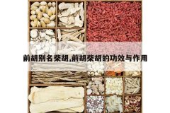 <b>ǰ���������,ǰ������Ĺ�Ч������</b>