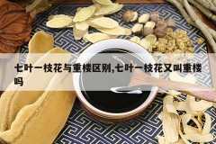 <b>��Ҷһ֦������¥����,��Ҷһ֦���ֽ���¥��</b>