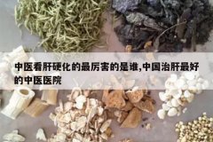 <b>��ҽ����Ӳ��������������˭,�й��θ���õ���ҽҽԺ</b>