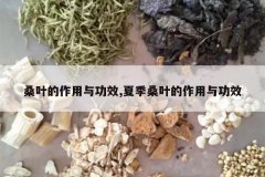 <b>ɣҶ�������빦Ч,�ļ�ɣҶ�������빦Ч</b>