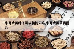 <b>ţ��������ӿ���װ��ͷ��,ţ����Ʋ�ҩͼƬ</b>