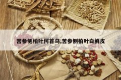 <b>��β��Ҷ������,��β��Ҷ����Ƥ</b>