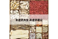 <b>����ҩ��ȫ,����ҩ�ټ�</b>