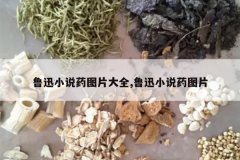 <b>³ѸС˵ҩͼƬ��ȫ,³ѸС˵ҩͼƬ</b>