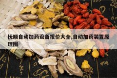 <b>��˳�Զ���ҩ�豸���۴�ȫ,�Զ���ҩװ��ԭ��ͼ</b>