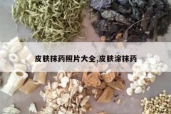 <b>Ƥ��Ĩҩ��Ƭ��ȫ,Ƥ��ͿĨҩ</b>